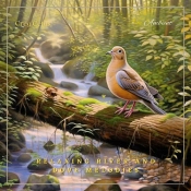 Relaxing River And Dove Melodies