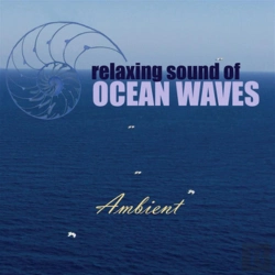 Bertrand.pt - Relaxing Sound Of Ocean Waves