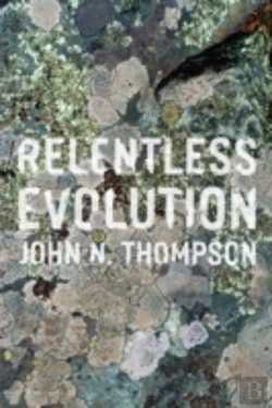 Bertrand.pt - Relentless Evolution