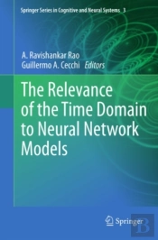 Relevance Of The Time Domain To Neural Network Models