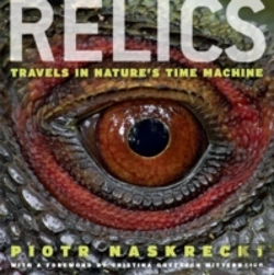 Bertrand.pt - Relics