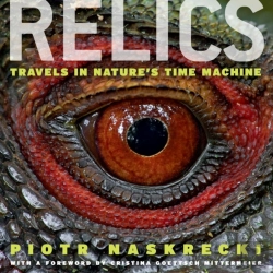 Bertrand.pt - Relics