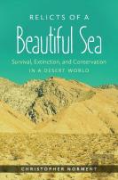 Relicts Of A Beautiful Sea