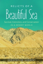 Relicts Of A Beautiful Sea