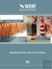 Remaining Asset Life