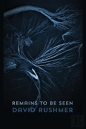 Remains To Be Seen