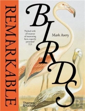 Remarkable Birds