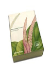 Remarkable Plants: Notecard Box