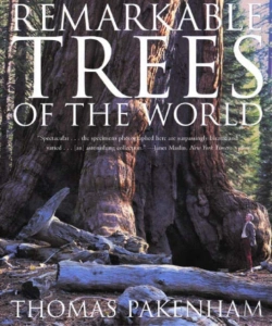Bertrand.pt - Remarkable Trees Of The World