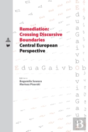 Remediation: Crossing Discursive Boundaries