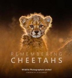 Bertrand.pt - Remembering Cheetahs