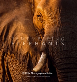 Bertrand.pt - Remembering Elephants