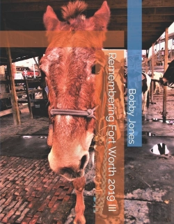 Bertrand.pt - Remembering Fort Worth 2019 Iii