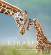 Remembering Giraffes