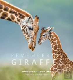 Bertrand.pt - Remembering Giraffes