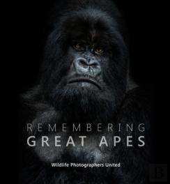 Remembering Great Apes