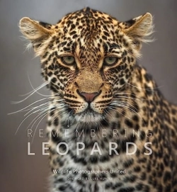 Bertrand.pt - Remembering Leopards