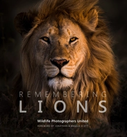 Bertrand.pt - Remembering Lions