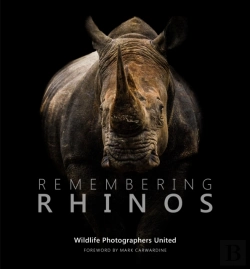 Bertrand.pt - Remembering Rhinos