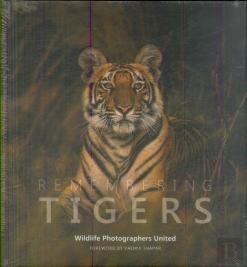 Remembering Tigers