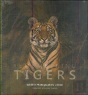 Remembering Tigers