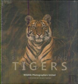 Bertrand.pt - Remembering Tigers