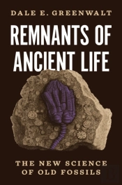 Remnants Of Ancient Life