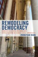 Remodeling Democracy