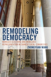 Remodeling Democracy