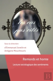 Remords Et Honte ; Lecture Sociologique Des Sentiments