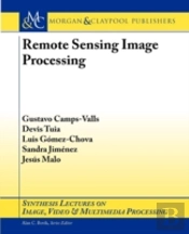 Remote Sensing Image Processing
