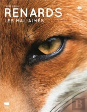 Renards : Les Mal-Aimés