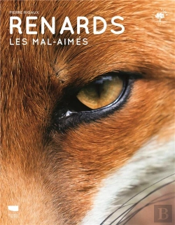 Bertrand.pt - Renards : Les Mal-Aimés