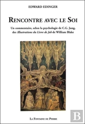 Rencontre Avec Le Soi, Un Commentaire, Selon La Psychologie De C.G. Jung, Des Illustrations Du Livre De Job De William Black