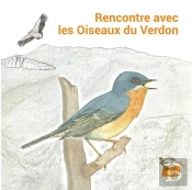 Rencontre Avec Les Oiseaux Du Verdon
