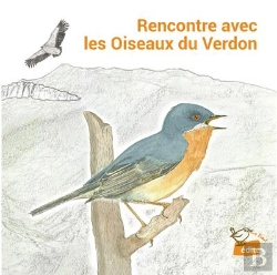 Bertrand.pt - Rencontre Avec Les Oiseaux Du Verdon
