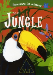 Rencontre Les Animaux De La Jungle