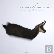 Rencontres Animales Dans Le Massif Jurassien