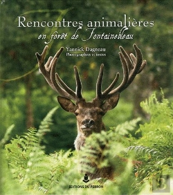 Bertrand.pt - Rencontres Animalières En Forêt De Fontainebleau
