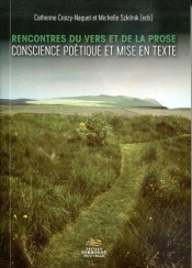 Rencontres Du Vers Et De La Prose : Conscience Poetique Et Mise En Texte