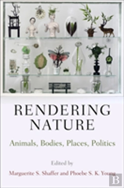 Bertrand.pt - Rendering Nature