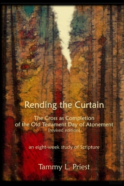 Bertrand.pt - Rending The Curtain - Revised