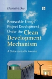 Renewable Energy Project Development Under The Clean Development Mechanism