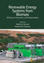 Renewable Energy Systems From Biomass