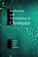 Replication And Transcription Of Chromatin