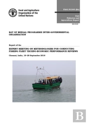 Report Of The Expert Meeting On Methodologies For Conducting Fishing Fleet Techno-Economic Performance Reviews