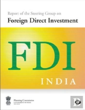 Report Of The Steering Group On Foreign Direct Investment