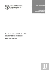 Report Of The Thirty-Third Session Of The Committee On Fisheries