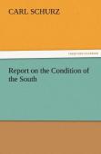 Report On The Condition Of The South