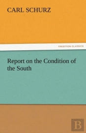 Report On The Condition Of The South